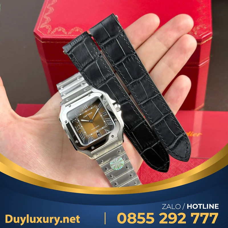 Bộ Sưu Tập Đồng Hồ Cartier Rep 11 Santos WSSA0061 BVF 39.8mm