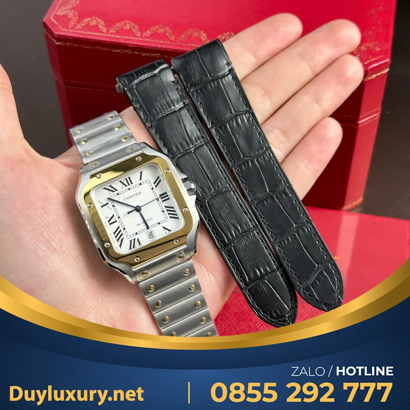 Bộ Sưu Tập Đồng Hồ Cartier Rep 11 Santos WSSA0061 BVF 39.8mm