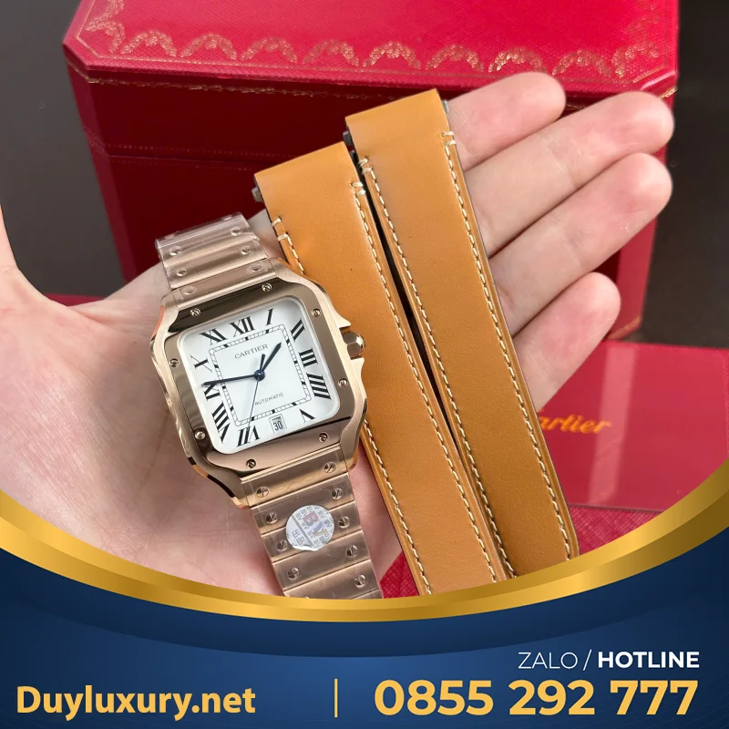 Bộ Sưu Tập Đồng Hồ Cartier Rep 11 Santos WSSA0061 BVF 39.8mm