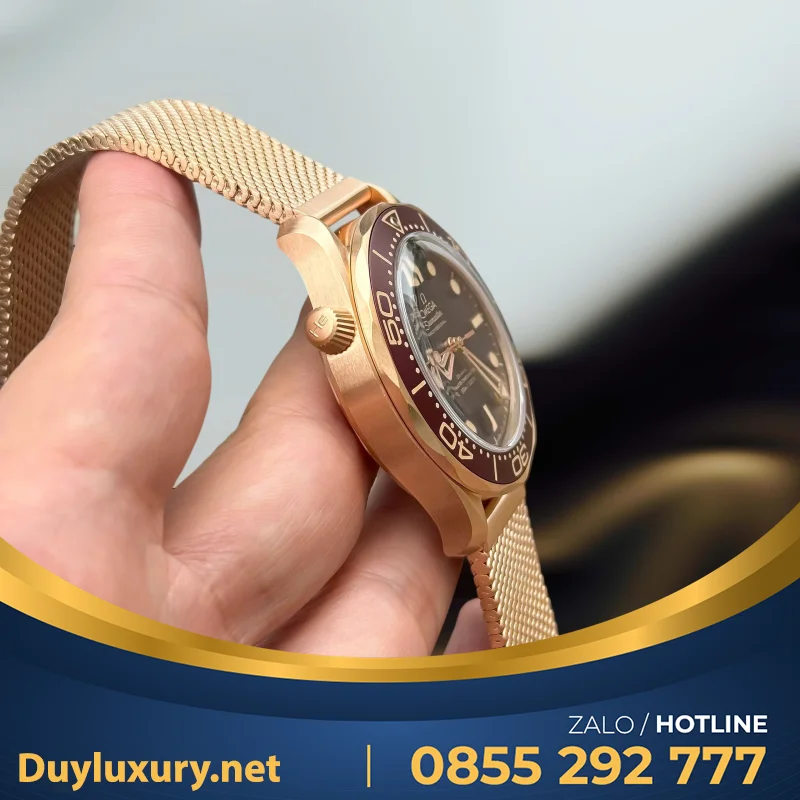 Đồng Hồ Omega Seamaster Diver 300M Bronze Gold Replica 11 Vfs 42Mm